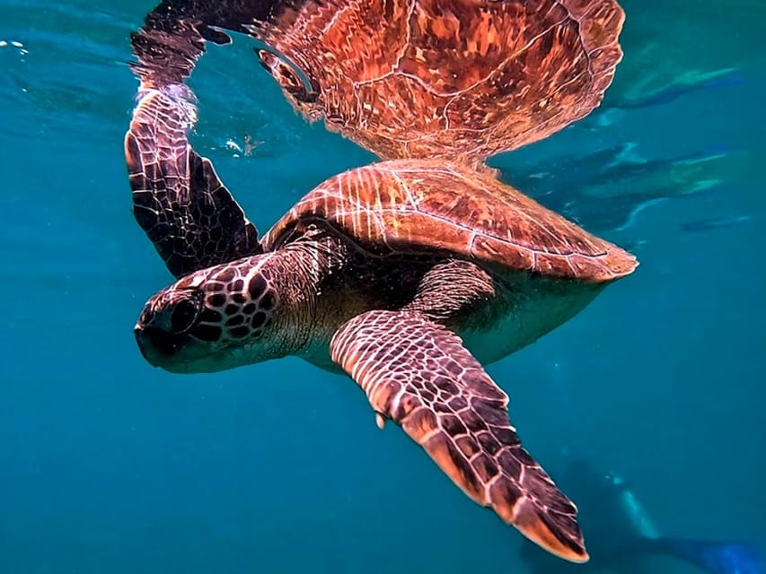 from Rio de Janeiro: Diving in Buzios - The return trip and the day-to-day reality