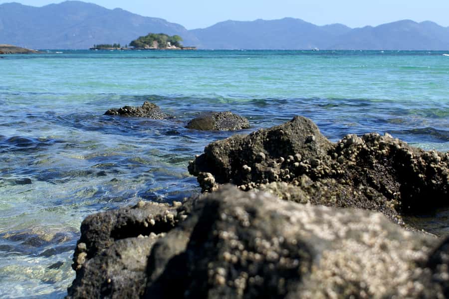 From Rio: Full-Day Angra dos Reis Cruise & Island Tour - Key points to know before booking