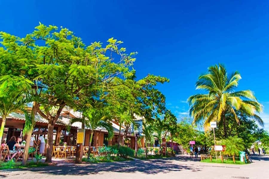 From Salvador: Praia do Forte & Guarajuba Beach Daytrip - Why the small group matters