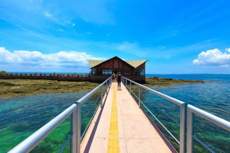 From Salvador: Schooner Tour to Frades Island - Key points to know before booking