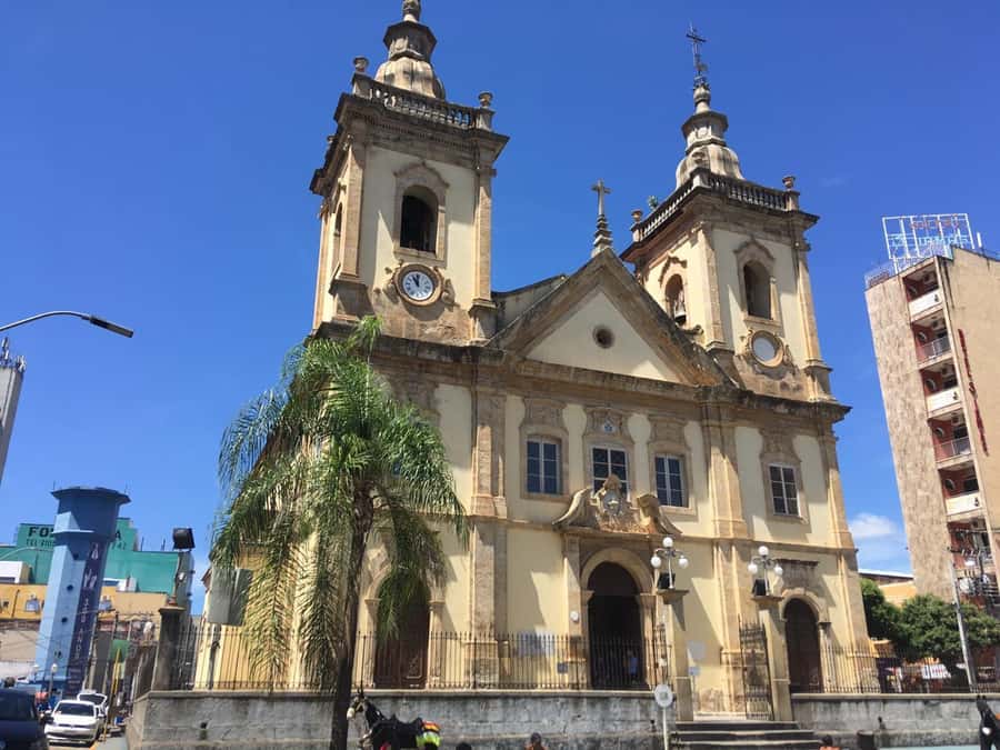 From São Paulo: Aparecida Cathedral Tour - Key points to know before booking
