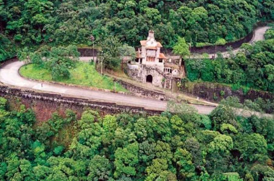 From São Paulo: Private Tour of Atlantic Forest & Valleys - What the $333 price means
