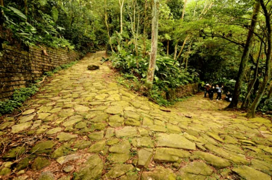 From São Paulo: Private Tour of Atlantic Forest & Valleys - Who will enjoy this day most