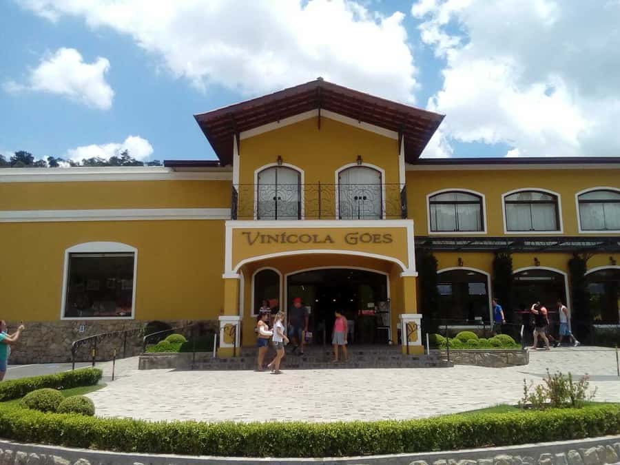 From São Paulo: São Roque Wineries Route and Tasting of Wine - Key points to know before booking