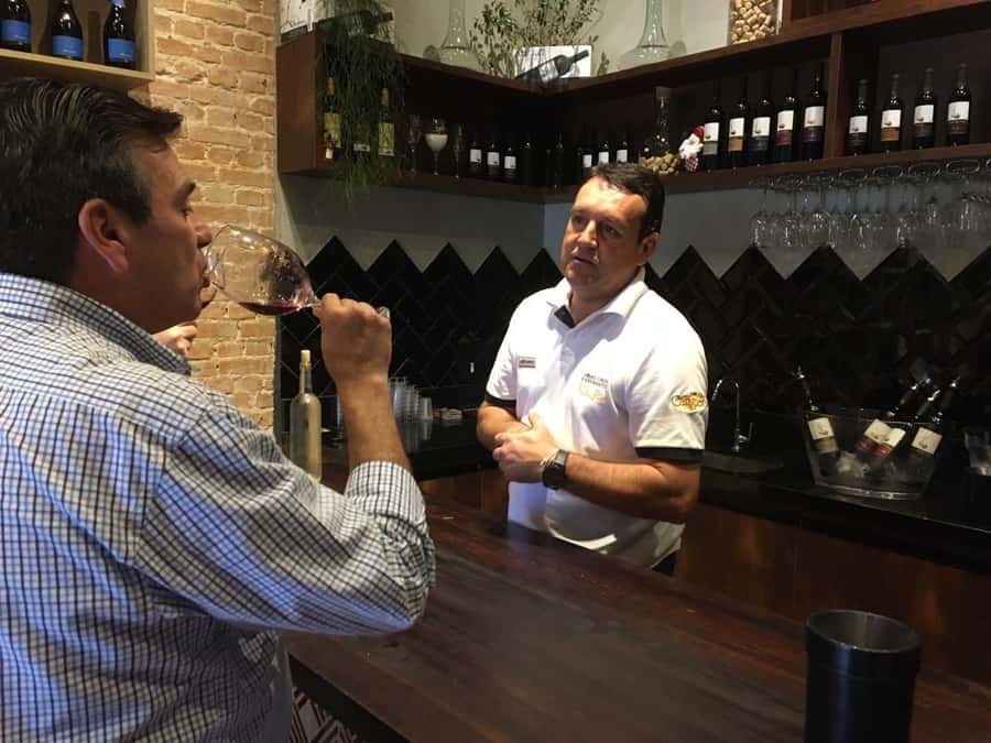 From São Paulo: São Roque Wineries Route and Tasting of Wine - From São Paulo to São Roque by air-conditioned vehicle