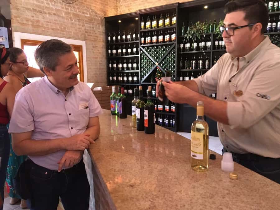From São Paulo: São Roque Wineries Route and Tasting of Wine - Three winery visits and what to expect
