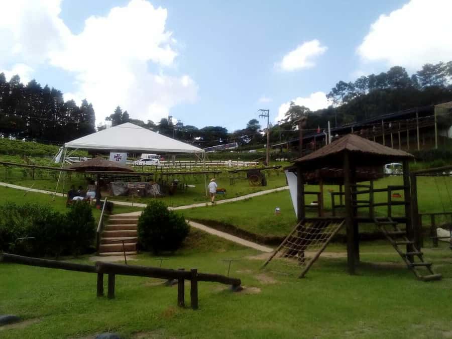 From São Paulo: São Roque Wineries Route and Tasting of Wine - Wine quality: a fair expectation