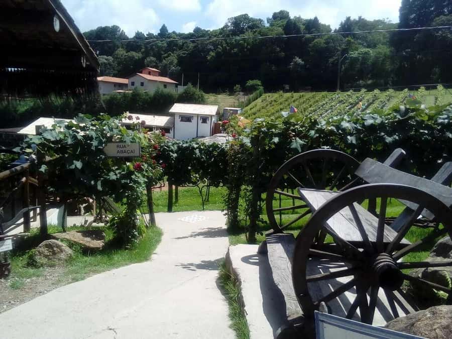From São Paulo: São Roque Wineries Route and Tasting of Wine - The guides can make or break a nine-hour day