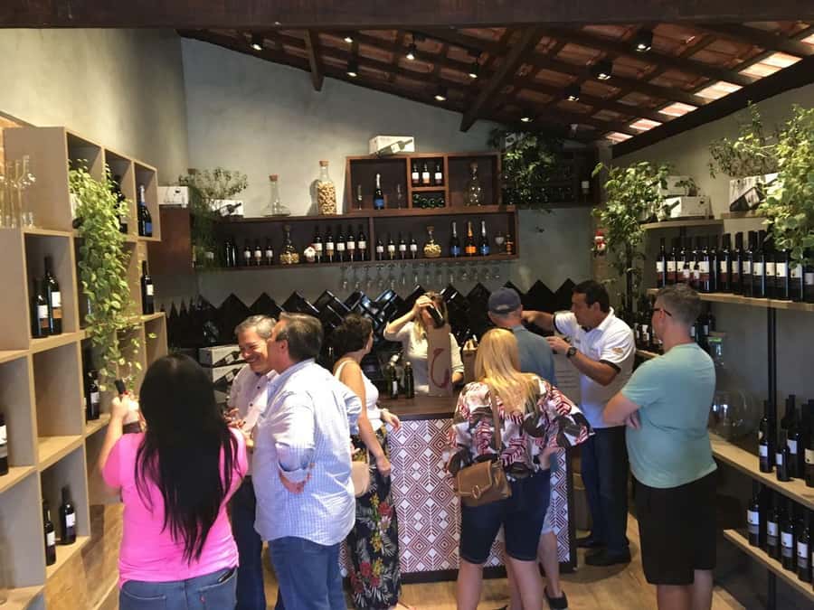 From São Paulo: São Roque Wineries Route and Tasting of Wine - Cacau Show gives the day a sweet ending