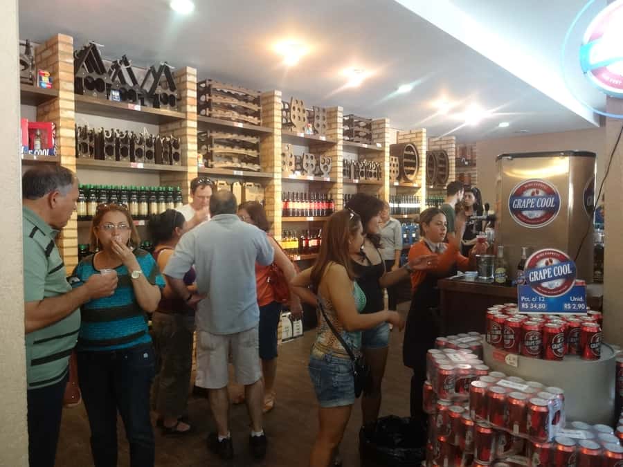 From São Paulo: São Roque Wineries Route and Tasting of Wine - Who will enjoy this São Roque day trip?