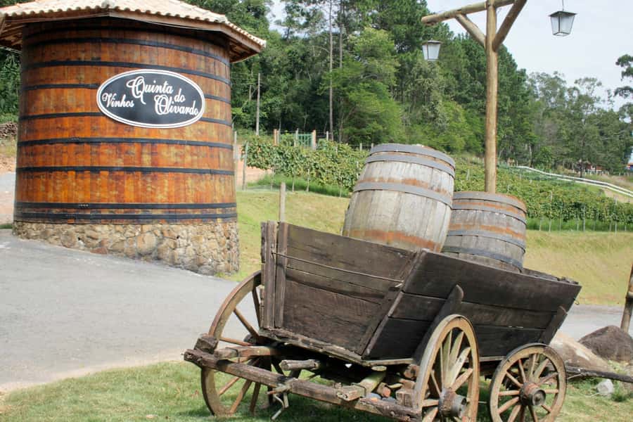 From São Paulo: São Roque Wineries Route and Tasting of Wine - Why São Roque has a wine tradition