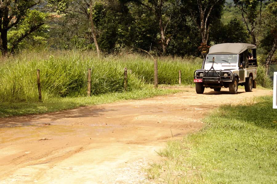 Full-Day Jungle Jeep Waterfall and Cachaça Distillery Tour - Tobogã Falls and Poço do Tarzan