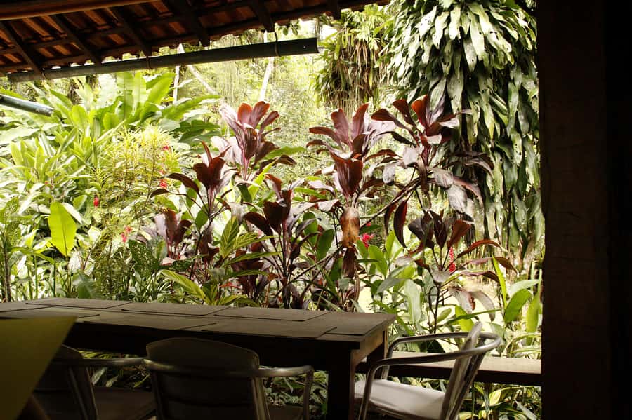 Full-Day Jungle Jeep Waterfall and Cachaça Distillery Tour - Engenho D’ouro and the taste of cachaça
