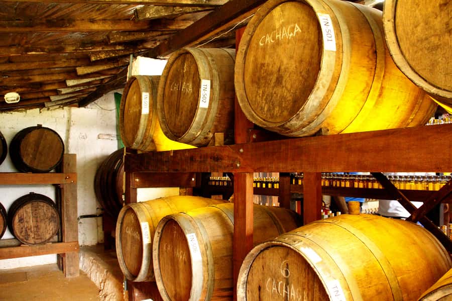 Full-Day Jungle Jeep Waterfall and Cachaça Distillery Tour - The Bromeliad Exhibition finale