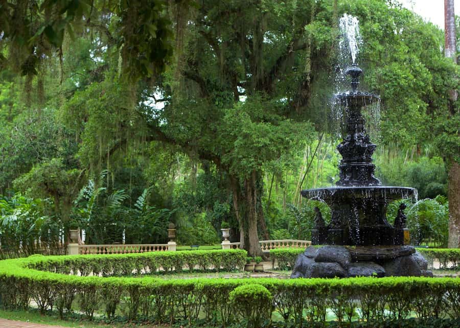 Green Rio: Guided Tour of Botanical Garden and Lage Park - Entering the Botanical Garden founded in 1808