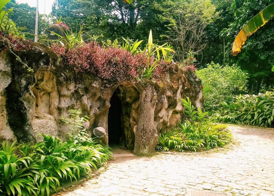 Green Rio: Guided Tour of Botanical Garden and Lage Park - Starting from Leblon, Ipanema, or Copacabana