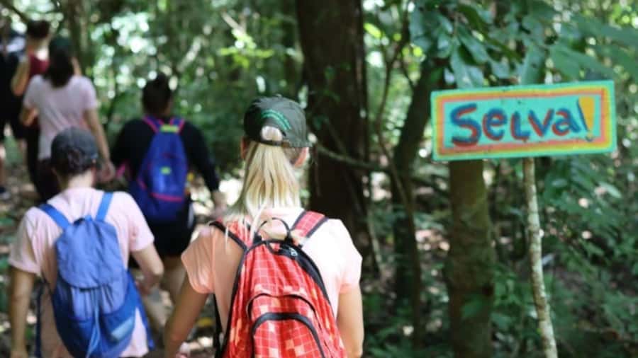 Guided Hike and Kayak or SUP River Tour w/ Transfer - Paddling within a 2-kilometer river area