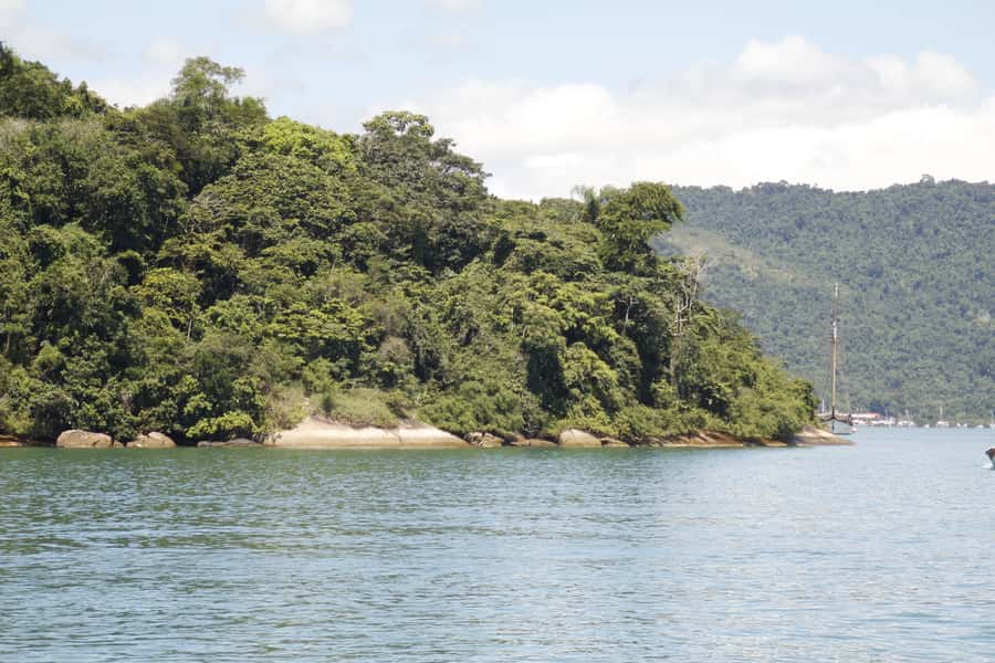 Half-Day Schooner Cruise and Snorkeling in Paraty Bay - Language, equipment, and comfort