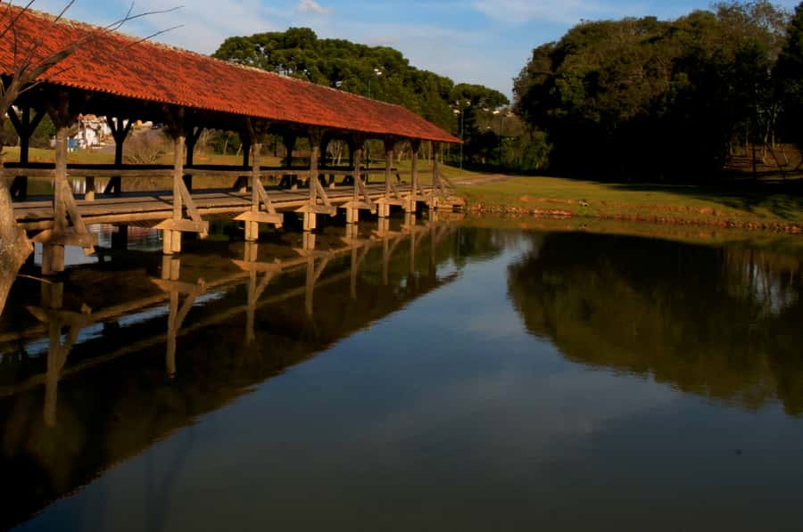 Half-Day Tour of Curitiba City - Guides, languages, and pickup reliability