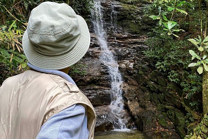 Hiking in the Tijuca Forest : Waterfalls and Caves - Taunay Waterfall is the park’s natural headline