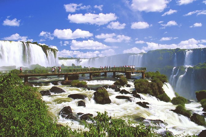 Iguassu Falls Brazilian Side: Macuco Safari, Helicopter Flight and Bird Park - Five things to know before you book
