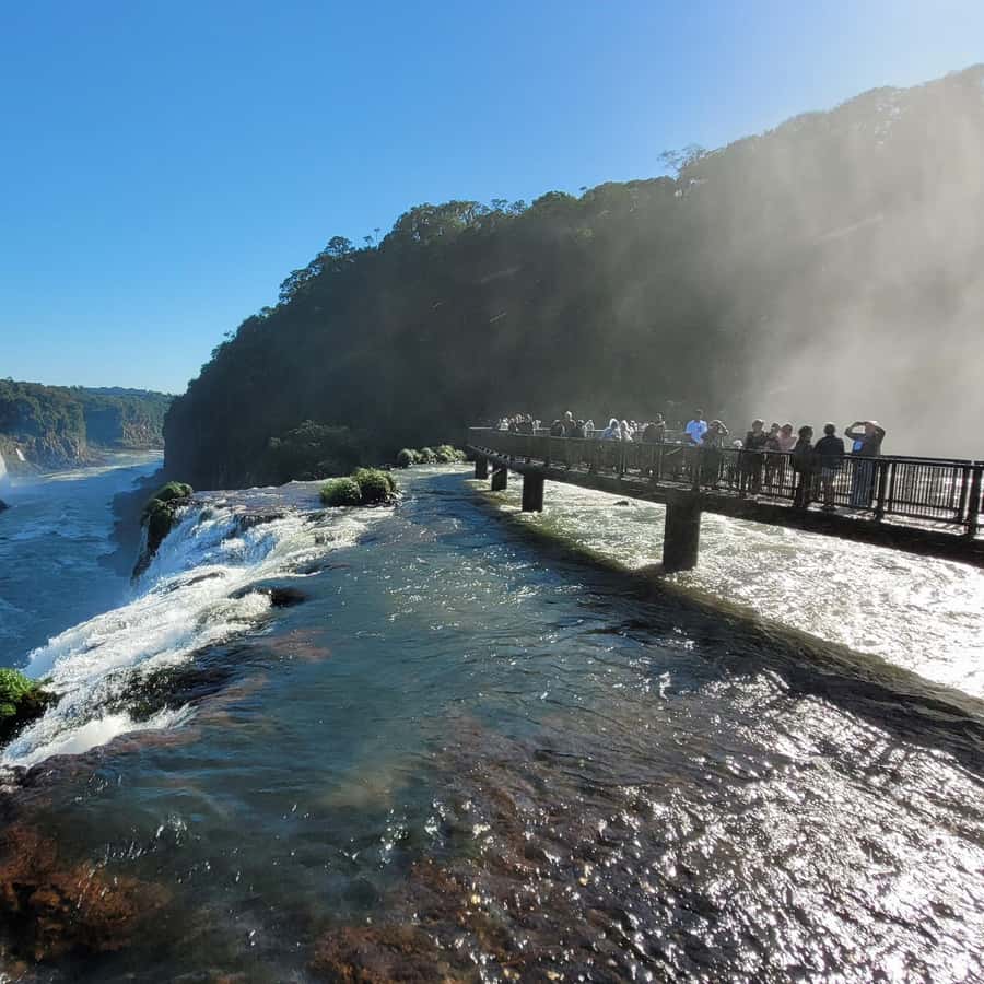 Iguassu Falls: Brazilian Side Private Tour - Physical demands, weather, and park rules