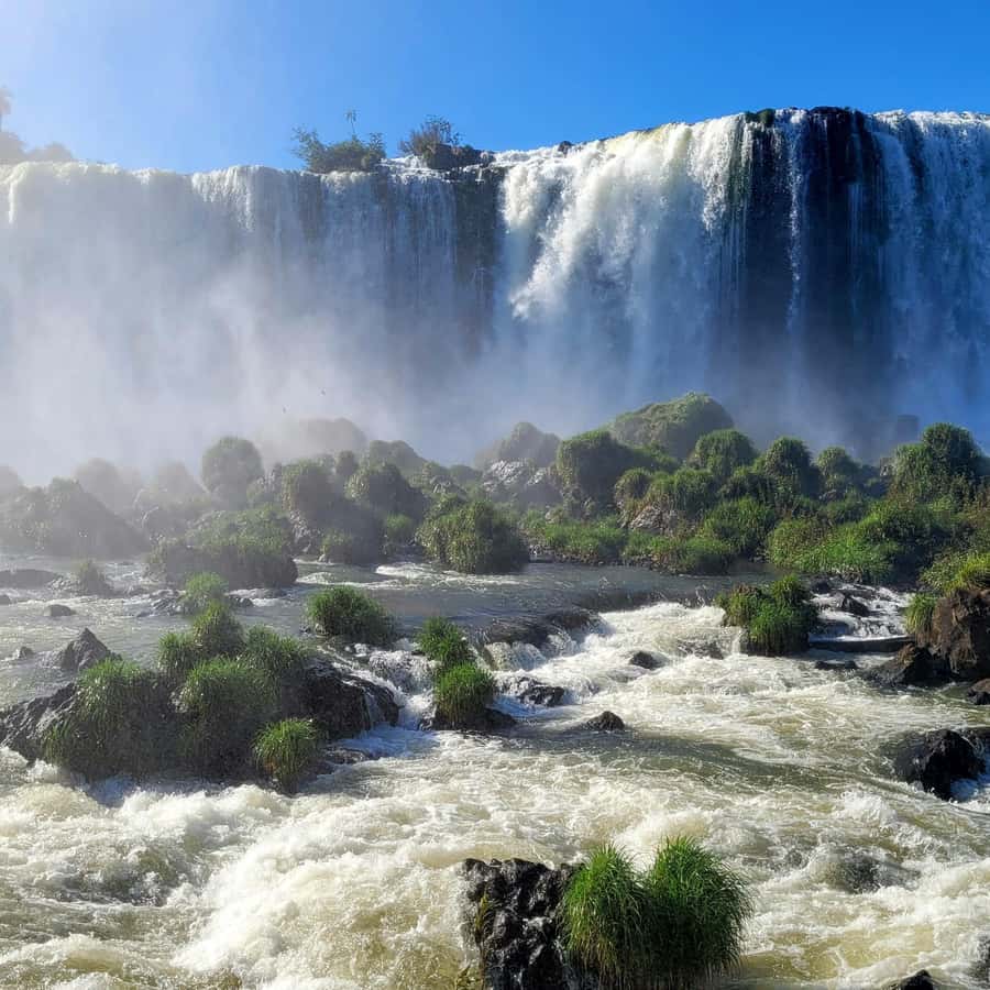 Iguassu Falls: Brazilian Side Private Tour - Adding Macuco Safari for a full-body experience
