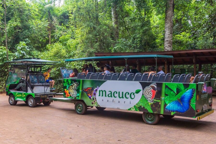 Iguassu Falls: Guided Tour & Macuco Safari on Pontoon Boats - Devil’s Throat and the strongest waterfall views
