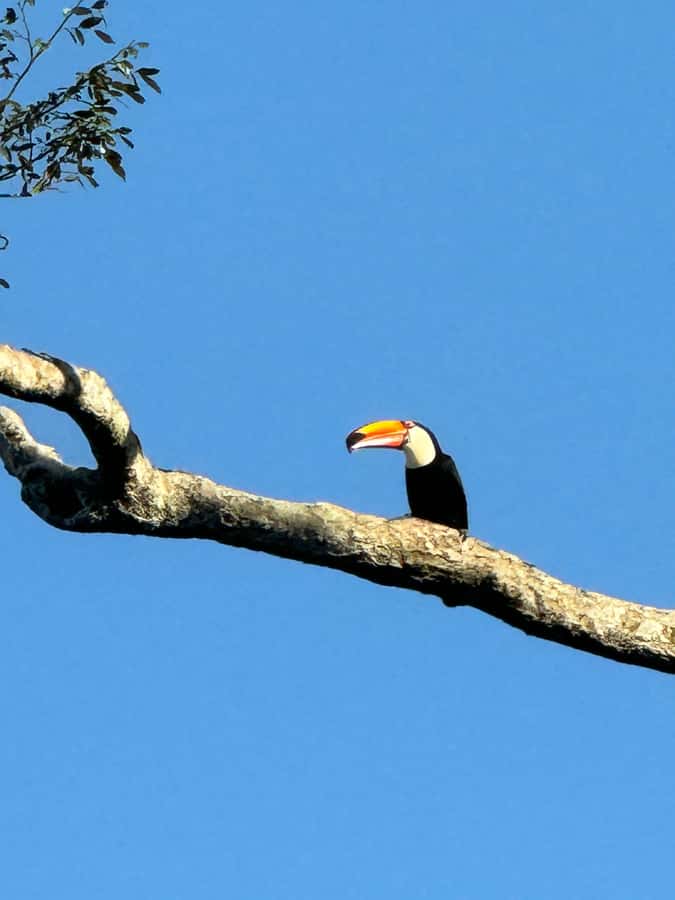 Iguassu Falls: Private Tour Argentina side - Adding the boat tour