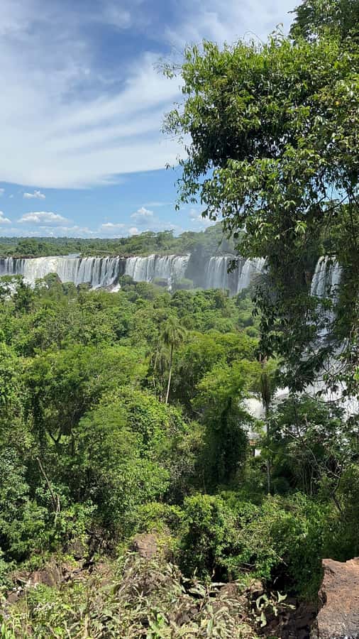 Iguassu Falls: Private Tour Argentina side - A guide who explains the rainforest, not just the falls