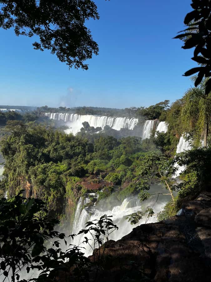 Iguassu Falls: Private Tour Argentina side - Border help and private transport inside the park