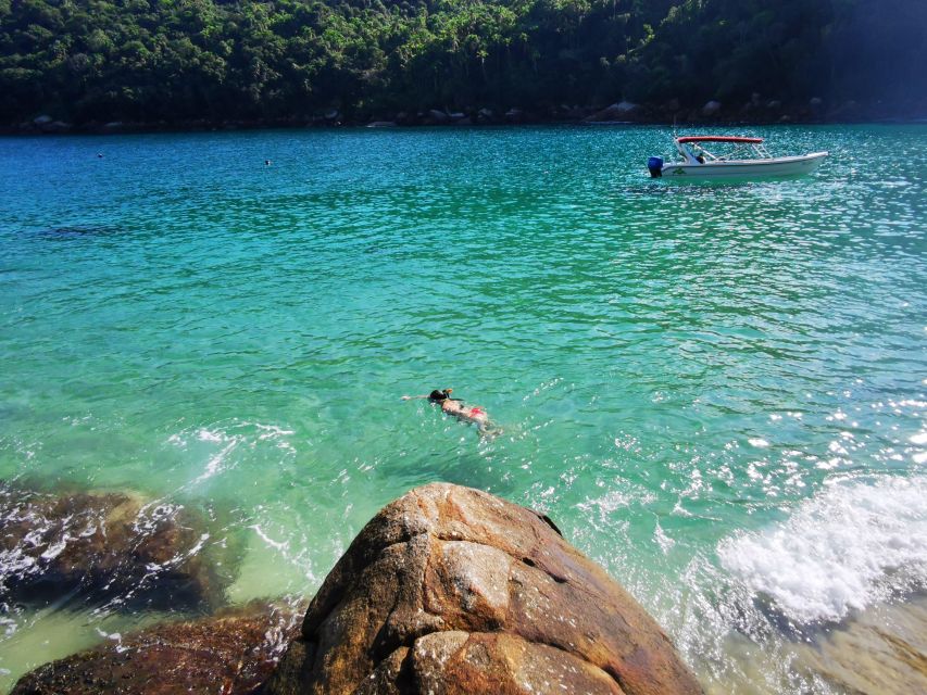 Ilha Grande: 360° Circumnavigation Speed Boat Tour - 8h - Aventureiro and the famous coconut tree