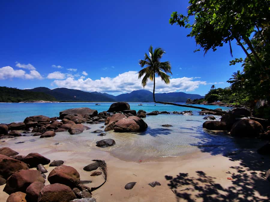 Ilha Grande: 360° Circumnavigation Speed Boat Tour - 8h - Leaving Vila do Abraão and getting oriented