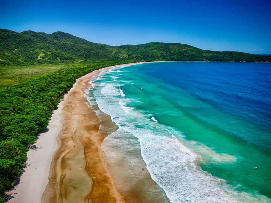 Ilha Grande: Lopes Mendes Private Hiking Tour - The first hour through Ilha Grande State Park