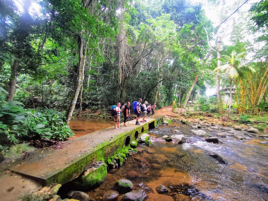 Ilha Grande: Private Hiking with Forest, Beaches & Waterfall - Two Hours Through Atlantic Rainforest