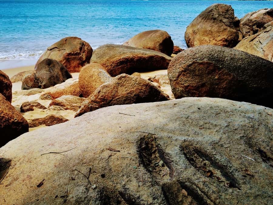 Ilha Grande: Private Historic Walking Tour with Natural Pool - Who should book this Ilha Grande walk?