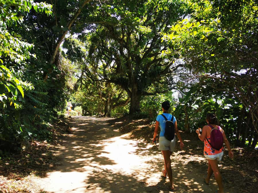 Ilha Grande: Private Historic Walking Tour with Natural Pool - Ruins, viewpoints, and the ocean