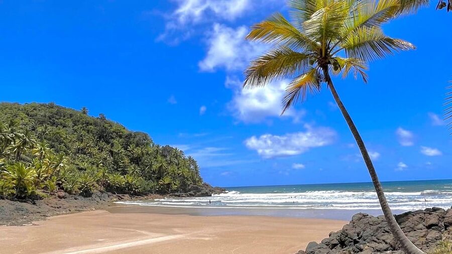 Itacare: 4 Beaches Trail and Tijuipe Waterfall - Engenhoca and the river meeting the sea