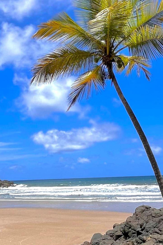 Itacare: 4 Beaches Trail and Tijuipe Waterfall - Tijuípe Waterfall in the Atlantic Forest