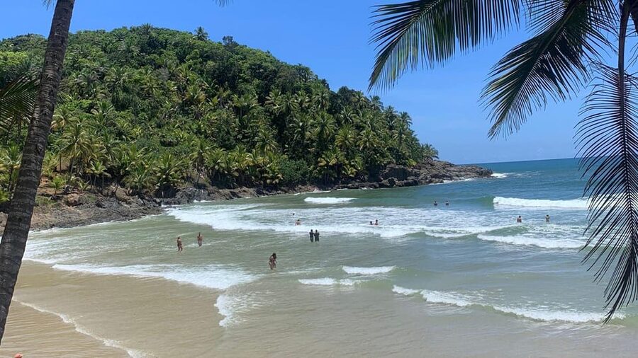 Itacare: 4 Beaches Trail and Tijuipe Waterfall - Who should book this beach and waterfall tour
