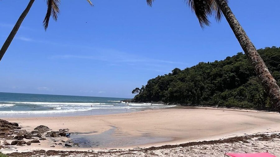 Itacare: Jeribucaçu Trail and Usina Waterfall - The 45-Minute Walk Through Forest and Mangrove