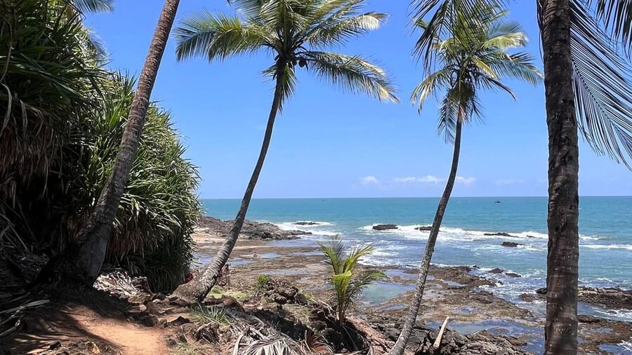 Itacare: Jeribucaçu Trail and Usina Waterfall - Jeribucaçu Beach, River, and Sea Together