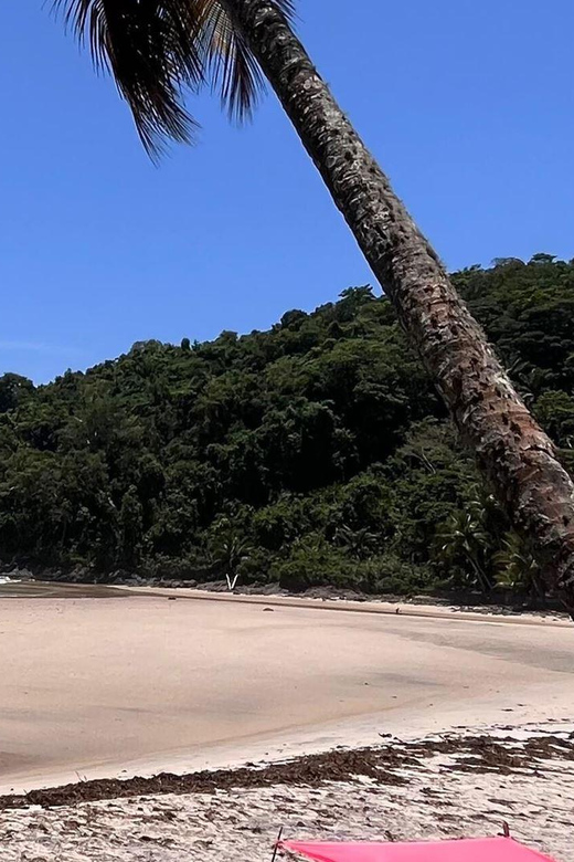 Itacare: Jeribucaçu Trail and Usina Waterfall - Arruda Beach and Tide-Formed Natural Pools