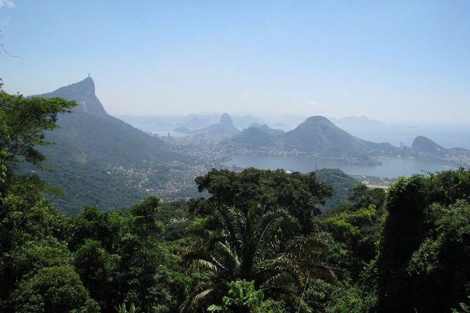 Jeep Adventure: Guided Tour through Tijuca Rain Forest - The Easy Walk to Cachoeira dos Macacos