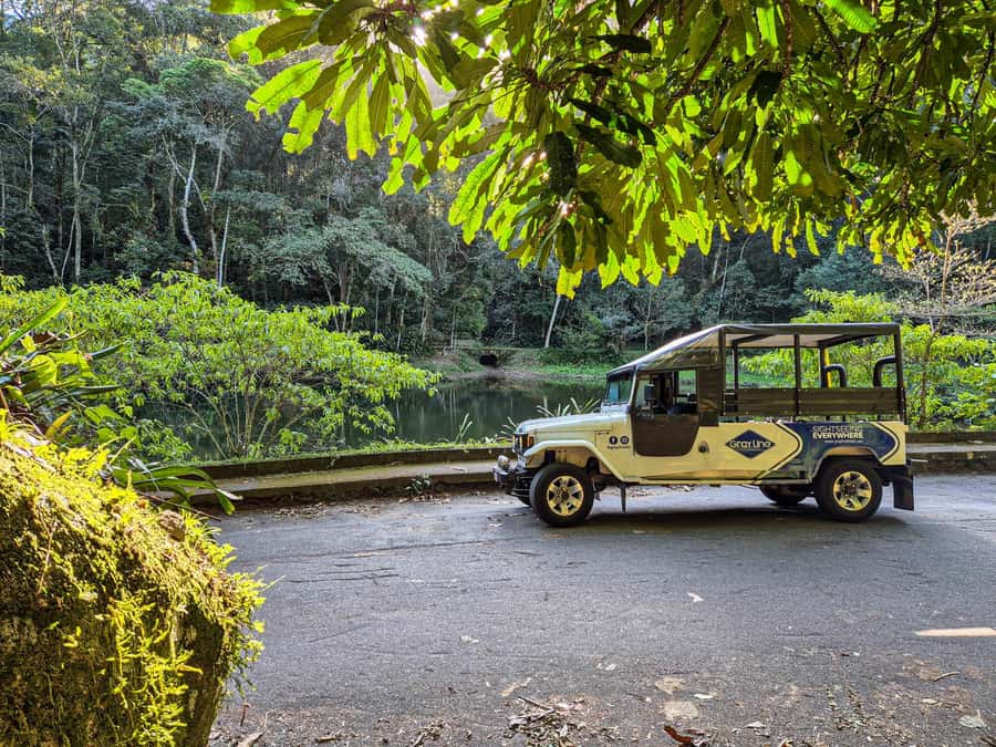 Jeep'n'Culture: Rocinha Favela and Tijuca Rainforest Tour - Key points at a glance