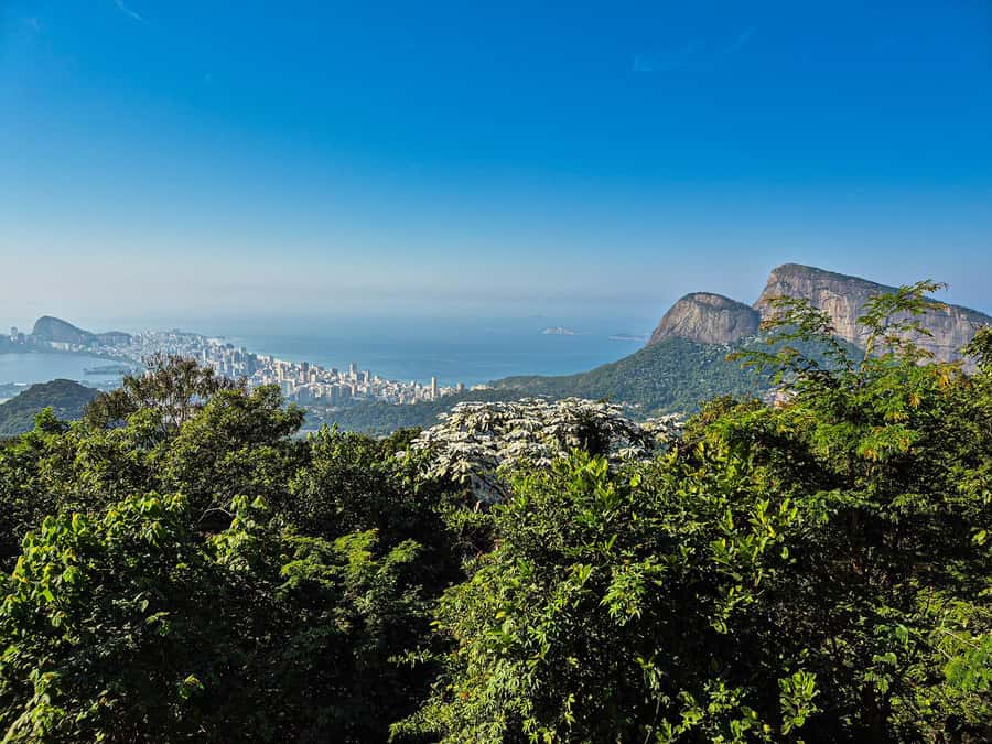 Jeep'n'Culture: Rocinha Favela and Tijuca Rainforest Tour - Cascatinha Taunay and the photo stop
