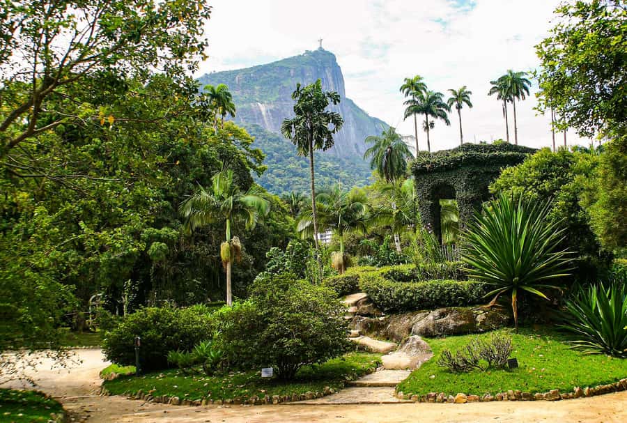 Jeep'n'Green: Rio Botanical Garden & Tijuca Rainforest Tour - Why this tour works for a short Rio visit