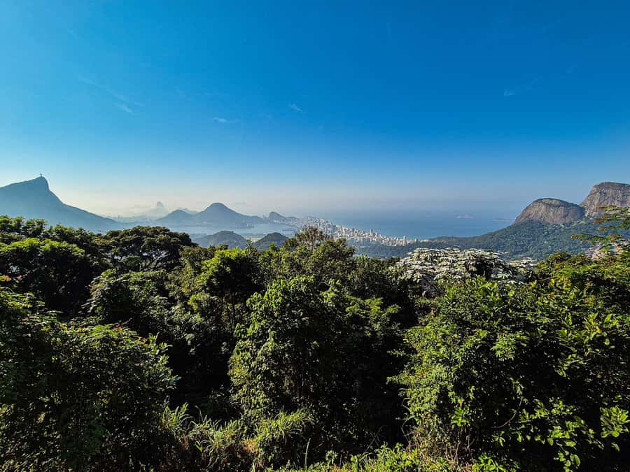 Jeep'n'Green: Rio Botanical Garden & Tijuca Rainforest Tour - The short walk to Cachoeira dos Macacos