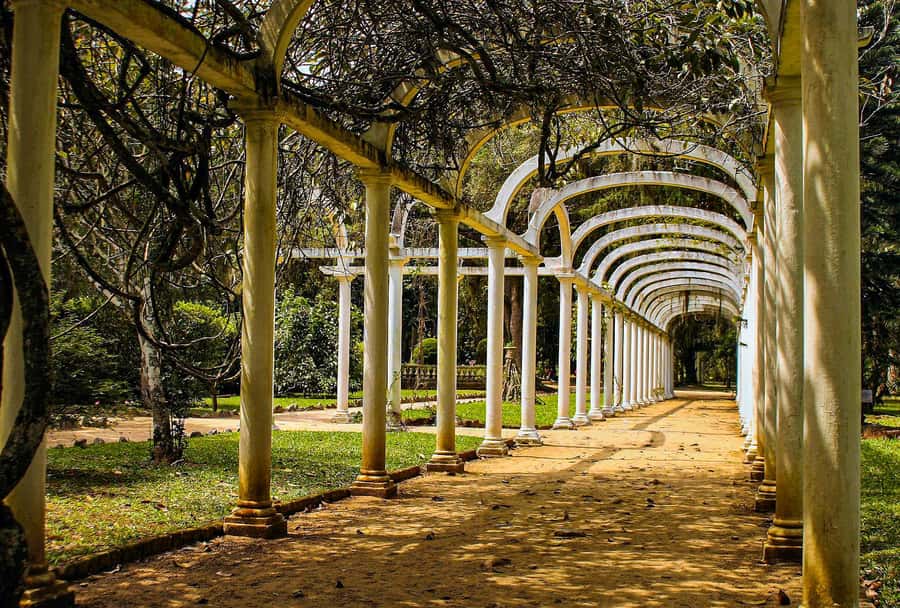 Jeep'n'Green: Rio Botanical Garden & Tijuca Rainforest Tour - Pepino Beach and the final view