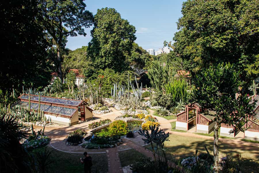 Jeep'n'Green: Rio Botanical Garden & Tijuca Rainforest Tour - Guides, languages, and the mixed service record